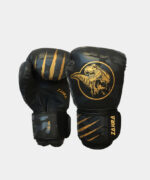 Boxing Gloves (Copy)